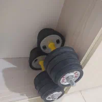 دمبل