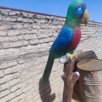 مجسمه سیمانی|مجسمه، تندیس، ماکت|شیراز, شهرک مطهری|دیوار