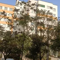 خدا کرم جدید آپارتمان 94 متر|فروش آپارتمان|کرج, کوی زنبق|دیوار