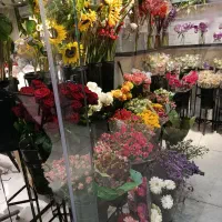 استخدام نیرو در محیط حرفه ای دیزاین و گل آرایی|استخدام خدمات فروشگاه و رستوران|بندرعباس, |دیوار