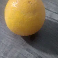 پرتغال تامسون