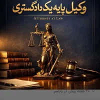 وکیل پایه یک دادگستری در امور ملکی و خانوادگی
