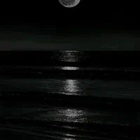 داوطلبانه
