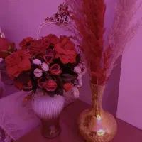 دو عدد گلدون