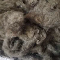 بالشت گرد محلی|رختخواب، بالش، پتو|فولادشهر, A3|دیوار