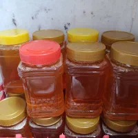 عسل صددرصد طبیعی