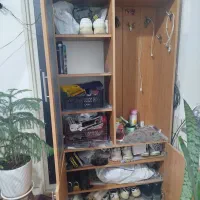 جاکفشی ایستاده|جاکفشی، کمد، دراور|درودزن, |دیوار