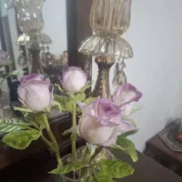 گل رز باکارا