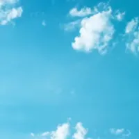 سوییت رایگان