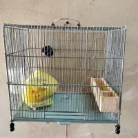 قفس سهره سهره قناری و..