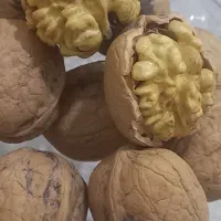 گردوی ارگانیک تازه