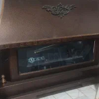بخاری سالم
