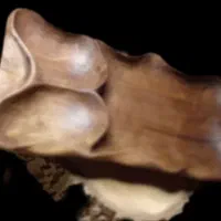 انواع روستیک دفورمه چوب گردو|ظروف سرو و پذیرایی|کرج, اتحاد|دیوار