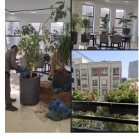 باغبانی باغچه کاری تعویض خاک گلدان در محل