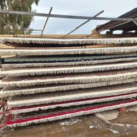 قالیشویی ابوطالبی|خدمات نظافت|رفسنجان, |دیوار