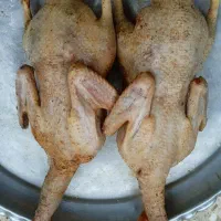 اوردک محلی کیلویی ۴۵۰هزار تومن با کیفیت عالی