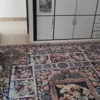 فرش۱۲ متری هزارشانه