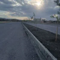 زمین قاسمیه درودگران صفرزاده