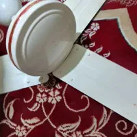 پنکه سقفی تر تمیز