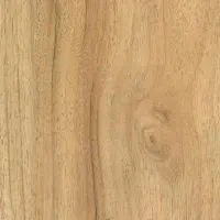 نقاش