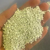 خرید فروش  گندم بذری و ذرت کود شیمیایی سوپر فسفات|گل و گیاه طبیعی|اهواز, کمپلو شمالی|دیوار