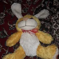 عروسک زیبا و سالم