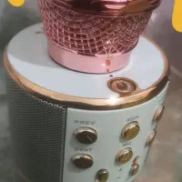 بلندگو میکروفن زیر قیمت سالمه سالم تست