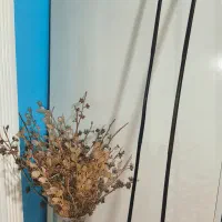 عصا سرمار چوب خیزران