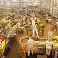 کارخانه بسته بندی مواد غذایی