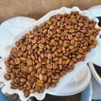 قهوه|عمده‌فروشی|رشت, پیرسرا|دیوار