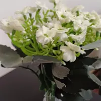 فروشی