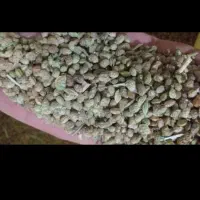 فروش‌ بذریونجه‌ اسپرس