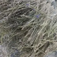 چوب گیاه دارویی اسطوخودوس