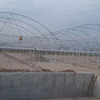 فروش گلخانه با کشت زمینی|فروش دفتر صنعتی، کشاورزی، تجاری|قرچک, صالح آباد|دیوار