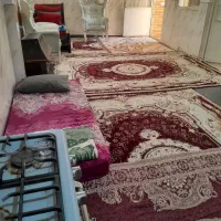 سوئیت منزل با پارکینگ در پیامبر اعظم|اجارهٔ کوتاه‌مدت آپارتمان و سوئیت|قم, انسجام|دیوار