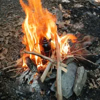 پاییزگردی درطبیعت