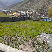 زمین با ویو ابدی در بالا آبگرم لاریجان آمل|فروش زمین و ملک کلنگی|رینه, |دیوار