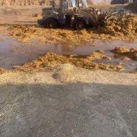 راننده لودر ۹۶۶ چهار جک