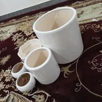 تعداد دو عدد گلدان نوو دوتا گلدان کوچیک استفاده شد|گل و گیاه طبیعی|اهواز, کوی رمضان|دیوار
