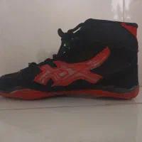 کفش کشتی ساق دار