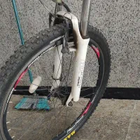 دوچرخه ژاپنی کنندل x4|دوچرخه، اسکیت، اسکوتر|سلماس, |دیوار