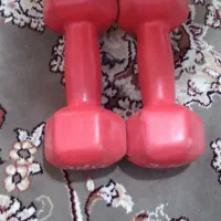 دمبل|تجهیزات ورزشی|قم, قلعه کامکار|دیوار