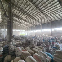 راننده، نظافتچی و میرزا شالیکوبی