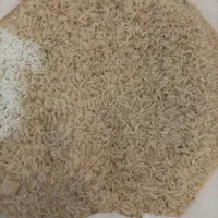 برنج مازندران طاروم