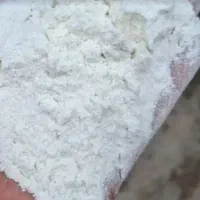 آرد گندم