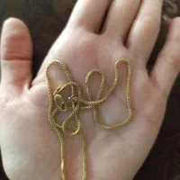 زنجیر طلا بسیار محکم و مقاوم به وزن 4.8 گرم|جواهرات|اصفهان, سروستان|دیوار