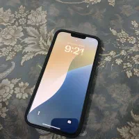 اپل iPhone 13 Pro Max با حافظهٔ ۲۵۶ گیگابایت