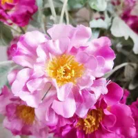 گلدان|گل مصنوعی|قرچک, مهدیه|دیوار