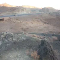 باغ و زمین انگور تفرجی|فروش زمین و ملک کلنگی|سبزوار, کراب|دیوار