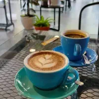 استخدام باریستا خانم